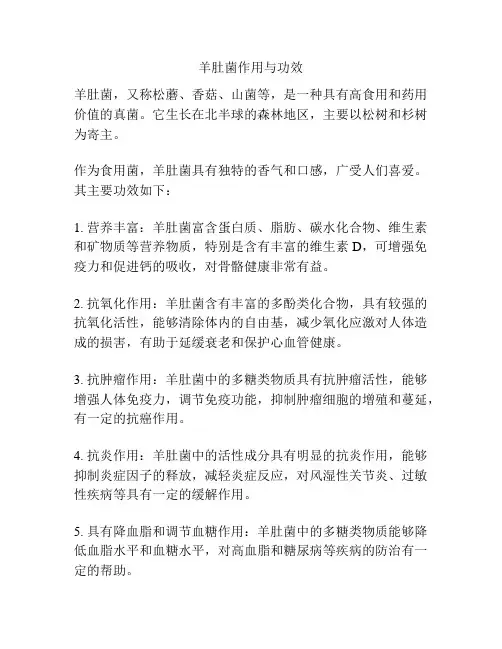 羊肚菌作用与功效