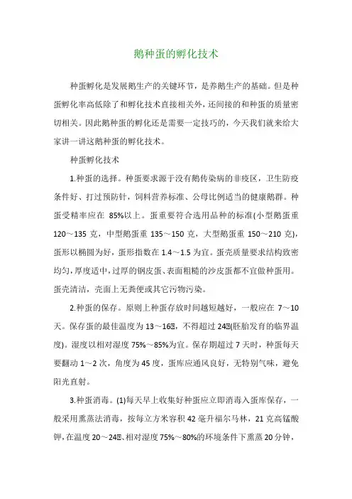 鹅种蛋的孵化技术