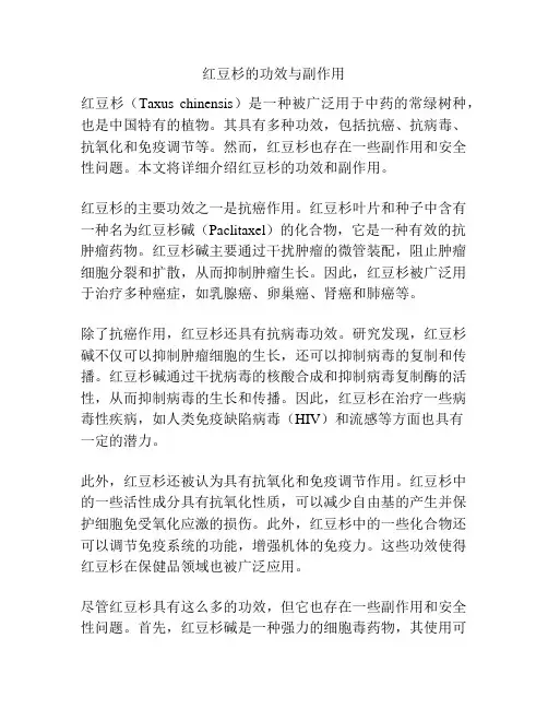 红豆杉的功效与副作用