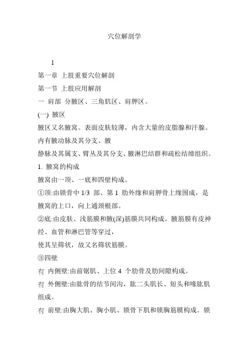 穴位解剖学