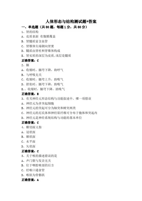 人体形态与结构测试题+答案