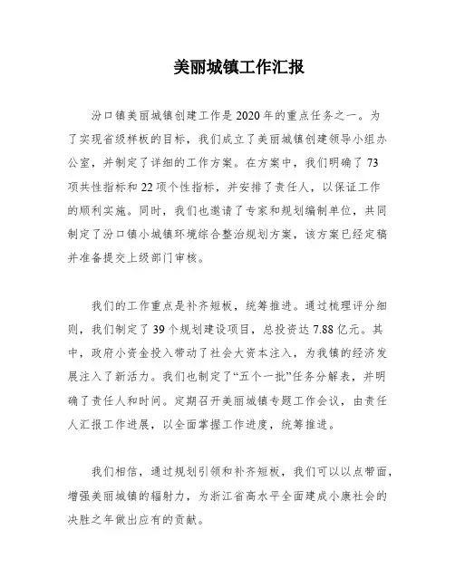 美丽城镇工作汇报