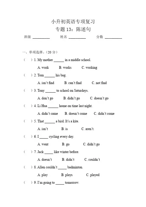 小升初专项复习 专题13：陈述句 通用版