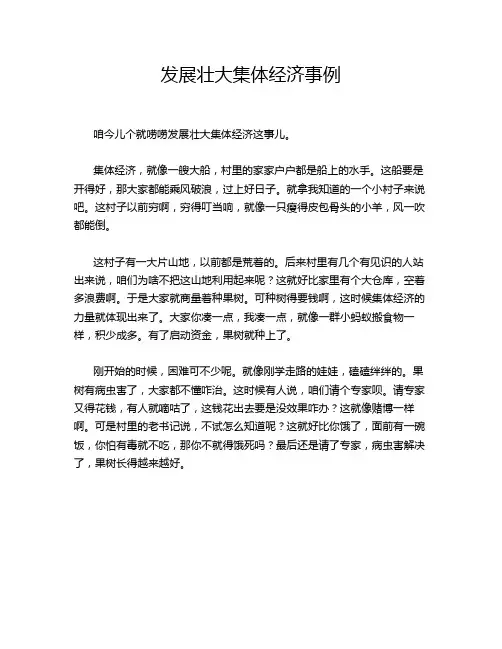 发展壮大集体经济事例