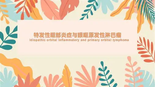 眼眶炎性假瘤与眼眶原发性淋巴瘤的影像表现