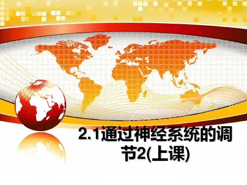 最新2.1通过神经系统的调节2(上课)课件PPT