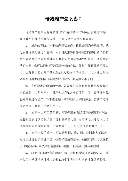 母猪难产怎么办？