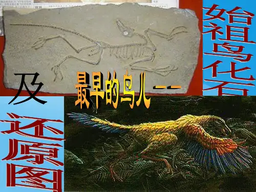 化石吟课件及教案语文课件PPT