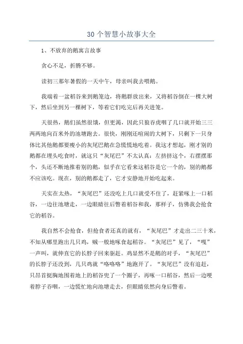 30个智慧小故事大全