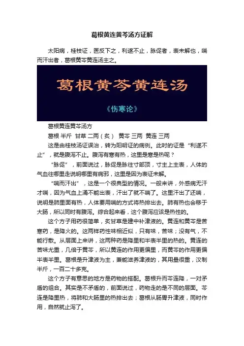 葛根黄连黄芩汤方证解