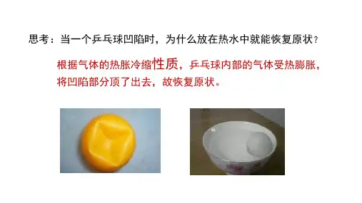 走进科学实验室——浙教版七年级上学期科学