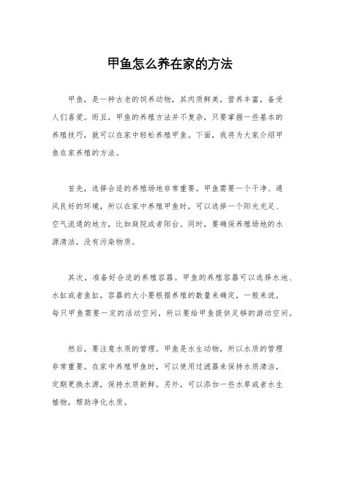 甲鱼怎么养在家的方法