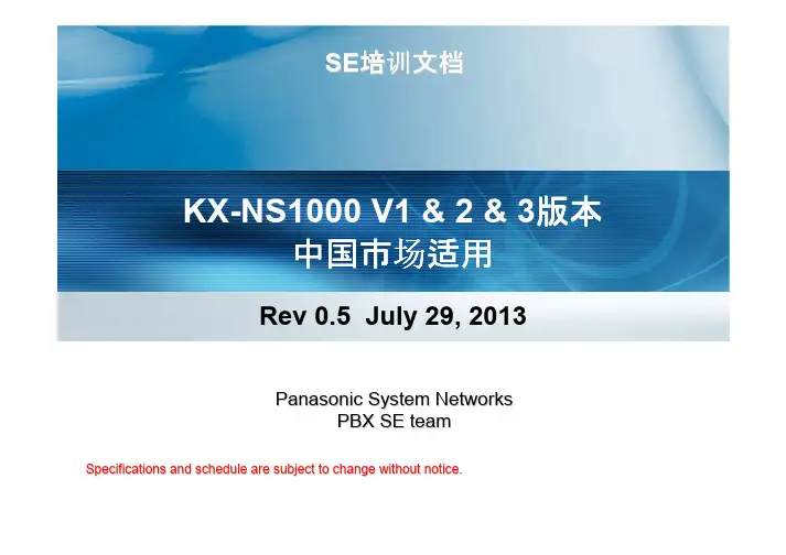 销售 中文 NS1000 V1-V3简介