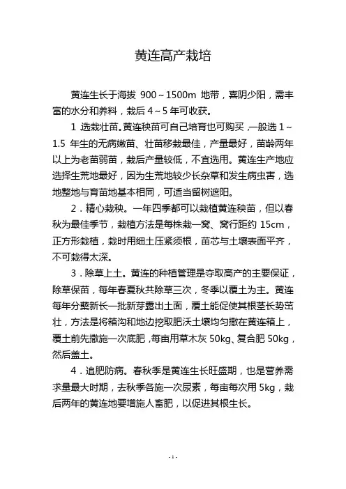 黄连高产栽培