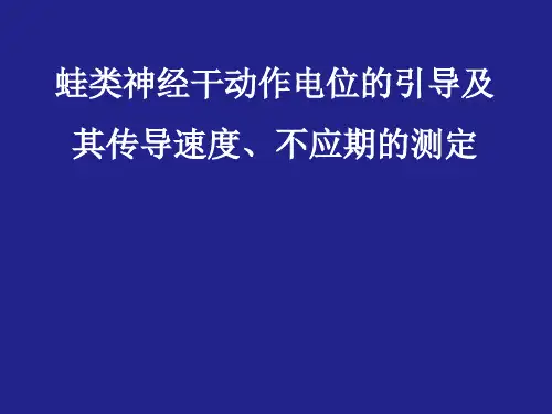 生理学实验课件 蛙类神经干动作电位的引导及其传导速度、不应期的测定