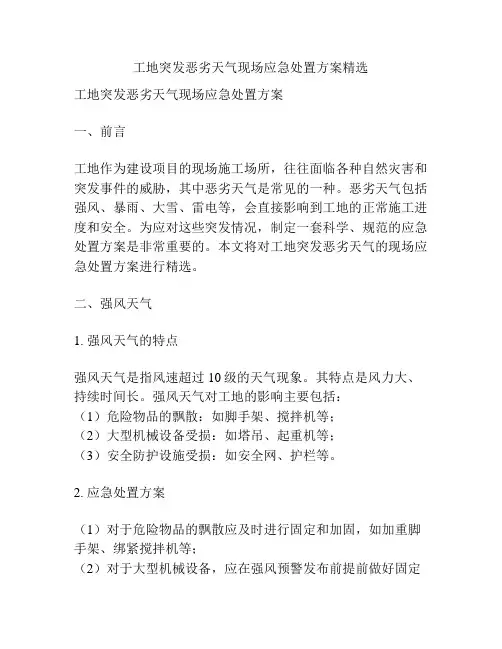 工地突发恶劣天气现场应急处置方案精选