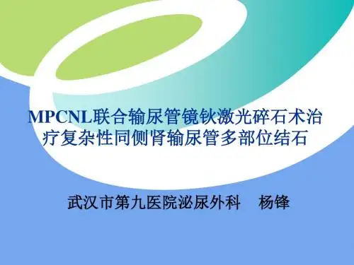 MPCNL PPT课件