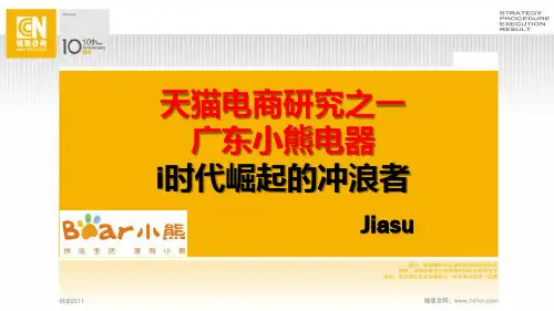 电商标杆研究小熊电器-i时代崛起的冲浪者-P83机密版
