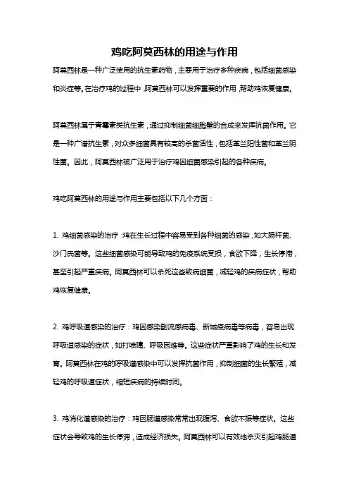 鸡吃阿莫西林的用途与作用
