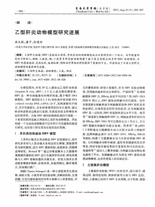 乙型肝炎动物模型研究进展