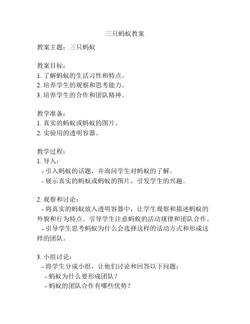 三只蚂蚁教案