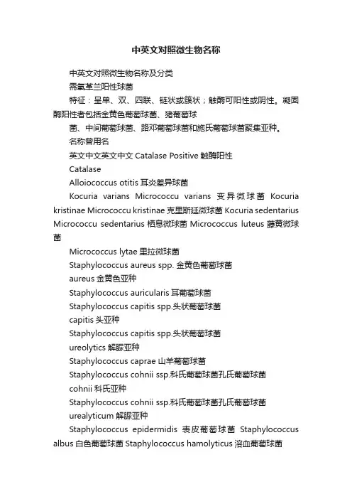 中英文对照微生物名称