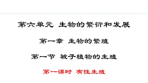 冀少版初二生物 6-1-1 被子植物的生殖 教学课件PPT