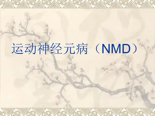 运动神经元病(NMD)