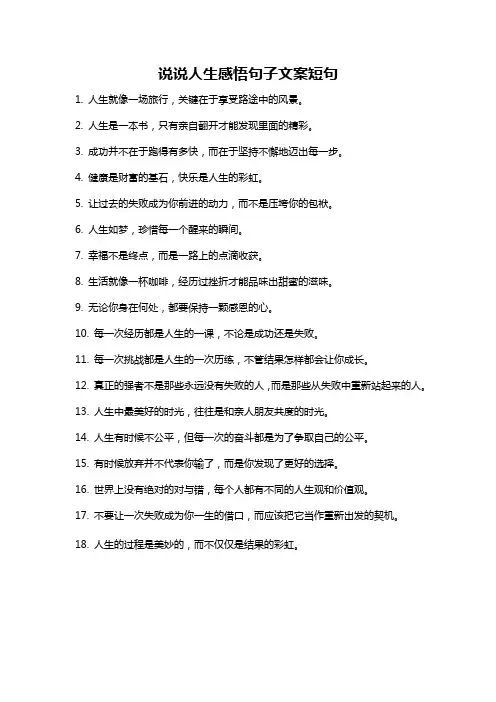 说说人生感悟句子文案短句