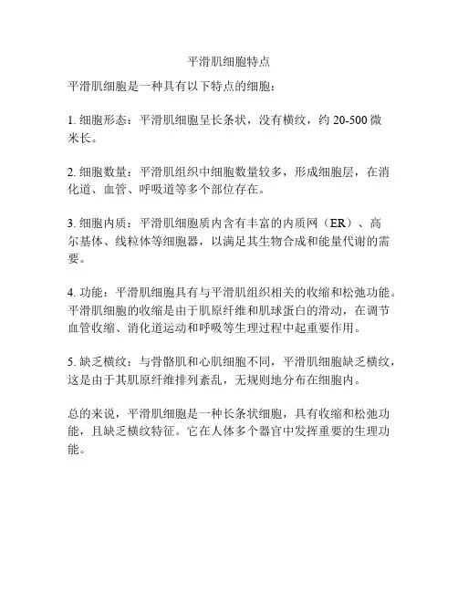 平滑肌细胞特点