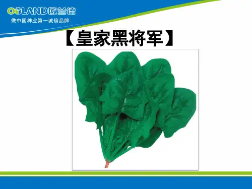 皇家黑将军
