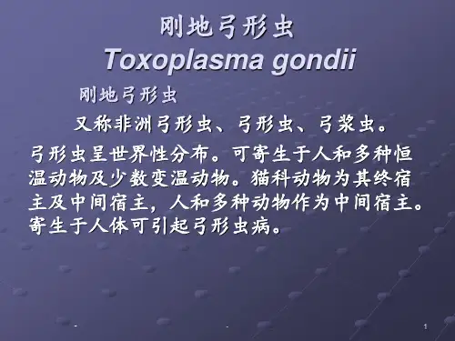 弓形虫(临床寄生虫检验)PPT课件