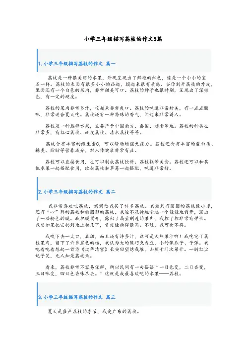 小学三年级描写荔枝的作文5篇