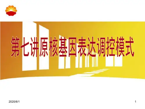 第7章原核基因表达调控模式PPT课件