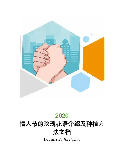 情人节的玫瑰花语介绍及种植方法文档