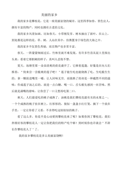 我的家乡是攀枝花