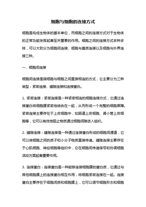 细胞与细胞的连接方式