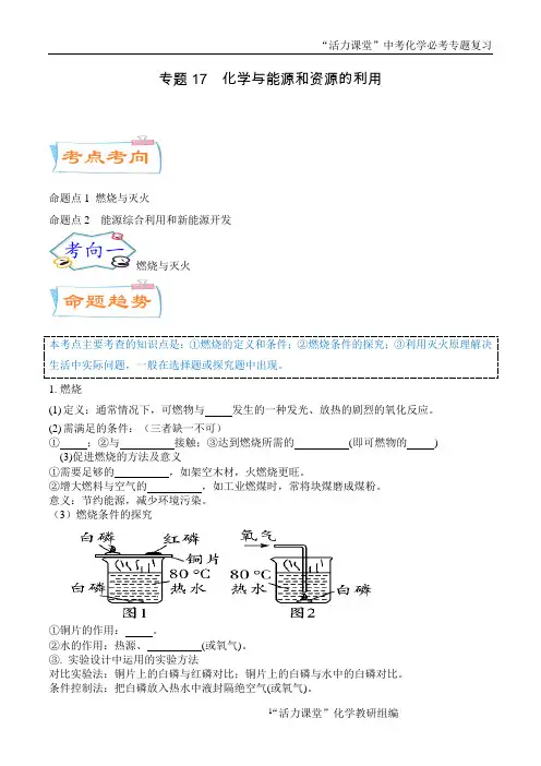 专题17 化学与能源和资源的利用(考点详解)-备战2021年中考化学考点微专题(广东专版)(原卷版)