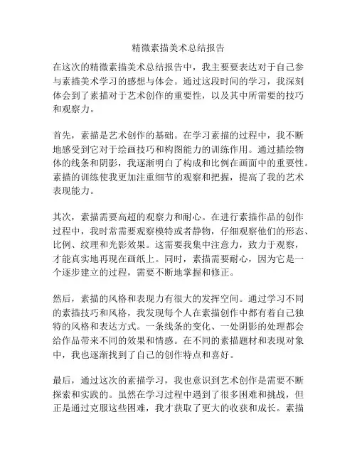 精微素描美术总结报告
