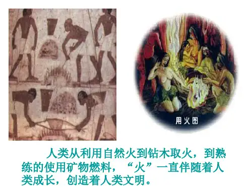 燃料燃烧对环境的影响