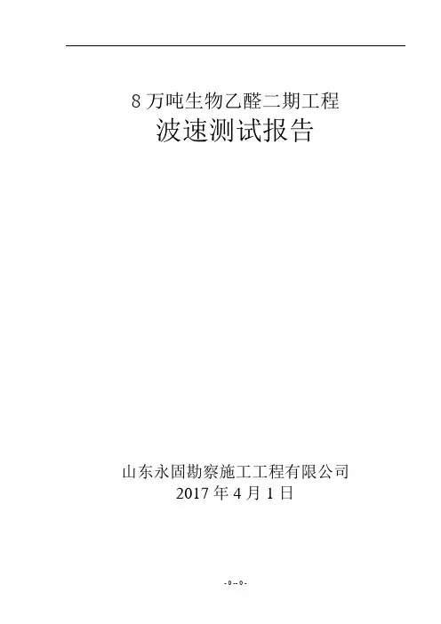 波速测试报告