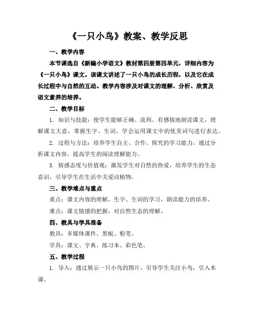 《一只小鸟》教案、教学反思