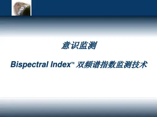 麻醉与BIS监测  ppt课件