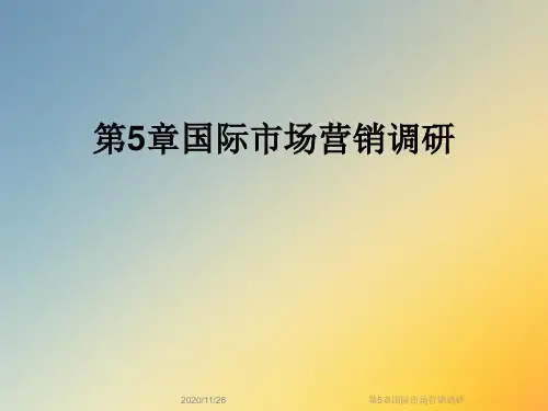 第5章国际市场营销调研