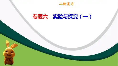 专题六 实验与探究(一)2023年高考生物二轮复习课件(新教材专用)