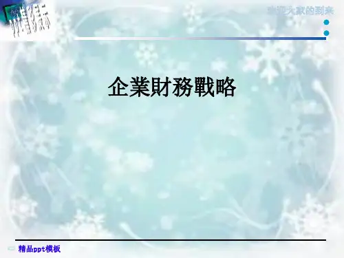 企业财务战略