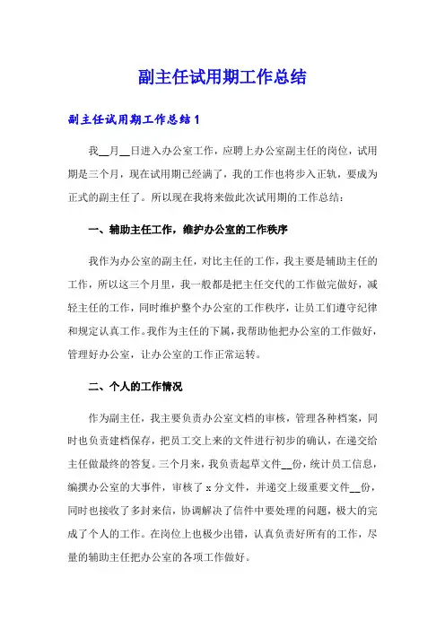 副主任试用期工作总结