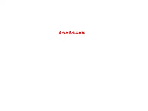 孟伟冷热电三联供
