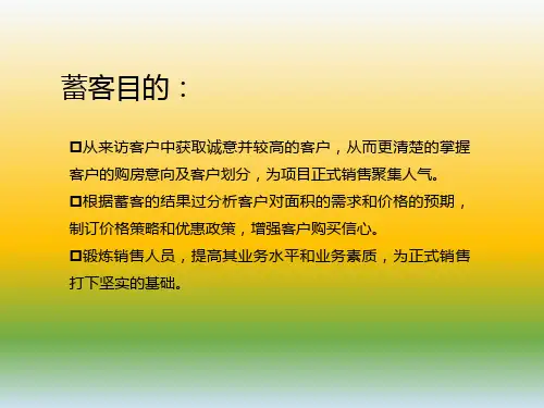 房地产蓄客策略