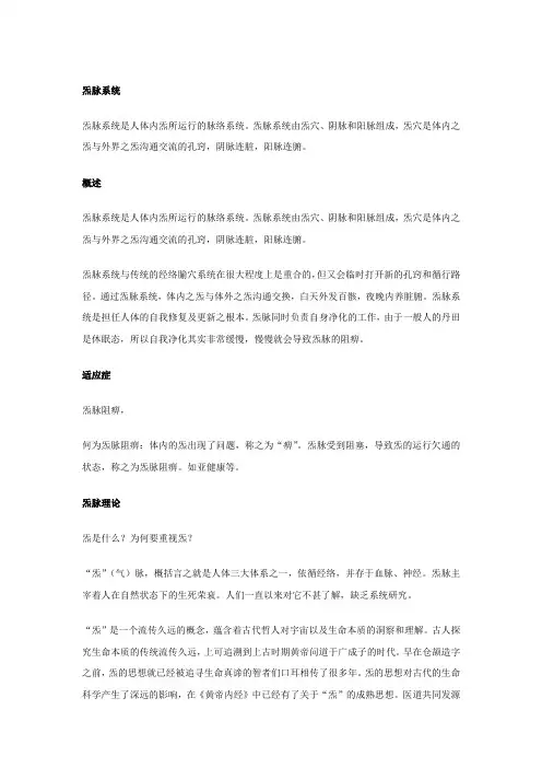 炁脉系统
